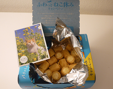 固力果餅乾內附《愜意貓寫真》喵星人的治癒能力太強啦~♥