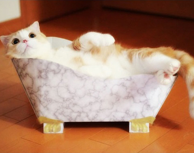 《貓腳浴缸造型貓抓板》貓上皇要泡澡啦（誤）