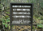 Pokemon Go《到富士山樹海去抓寶可夢》好孩子不要輕易嘗試... Pokemon Go《到富士山樹海去抓寶可夢》好孩子不要輕易嘗試...