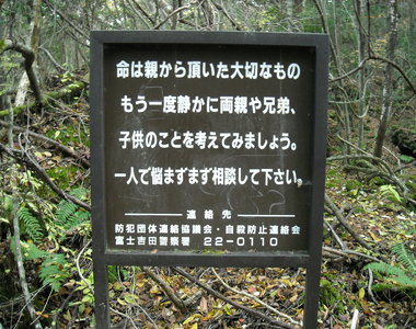 Pokemon Go《到富士山樹海去抓寶可夢》好孩子不要輕易嘗試...