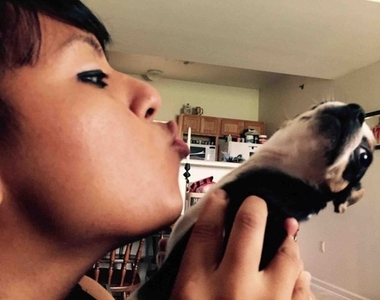 讓飼主哭笑不得的《無奈寵物》就說不要了你還靠過來......(冷眼看)