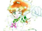 美少女戰士《木星是李小龍傳人》這還真的是意外大發現啊XD 美少女戰士《木星是李小龍傳人》這還真的是意外大發現啊XD