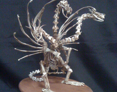 《骨骼藝術家揭露電視節目惡行》委託再次製作雞骨模型竟是超失禮的低價報酬