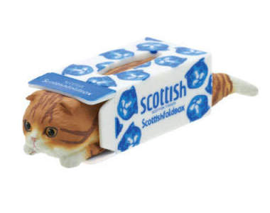 《摺耳貓面紙盒》重現胖貓貓衝進紙箱卡住的可愛場面♥