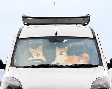 《汪星人汽車遮陽板》原來是汪星人再開車~我還以為是遮陽板呢XD