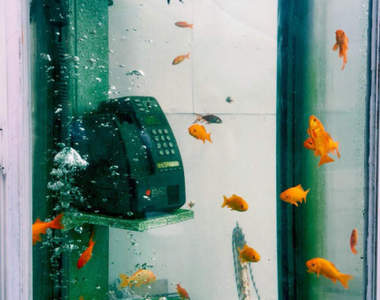 《金魚電話亭》想打電話也只好找旁邊路人借手機惹（￣▽￣）