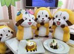 《小浣熊期間限定咖啡廳》萌萌的小浣熊來洗劫錢包啦 《小浣熊期間限定咖啡廳》萌萌的小浣熊來洗劫錢包啦