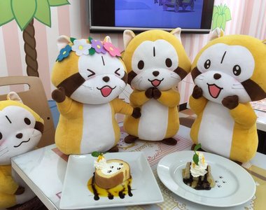 《小浣熊期間限定咖啡廳》萌萌的小浣熊來洗劫錢包啦