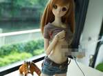 性感想插《SMART DOLL》但毒宅紛紛抱怨那兩個洞的位置不專業…