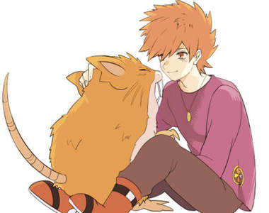 神奇寶貝的都市傳說《拉達死亡論》 過了20年還是信者恆信嗎?