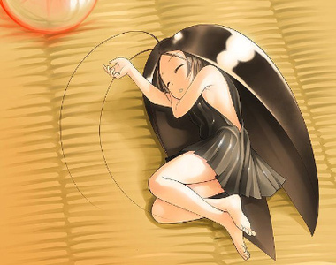 《蟑螂可能會躲的地方》養一隻貓是不是處理得比較快...