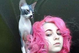 《寵物圖案帶身上》不是手機也不是刺青那是放在哪裡呢？