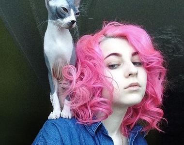 《寵物圖案帶身上》不是手機也不是刺青那是放在哪裡呢？