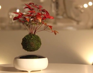 《空中盆栽》為什麼一種天空之城的概念感啊？