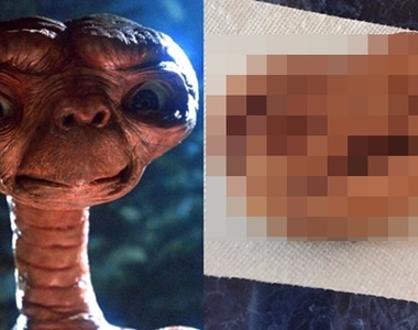 《長得像E.T.的肉桂捲》這肉桂捲必須送給外星人當土產才行ww