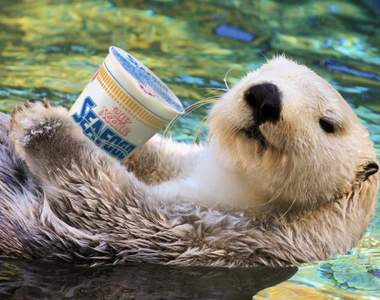 《趣味日清泡麵廣告》超有梗宣傳方式讓人激起慾望超想買