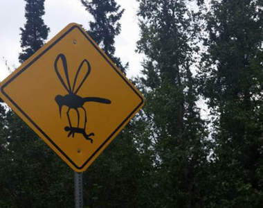 《超無解道路標示》這究竟是要我們注意什麼啊啊啊（動搖）