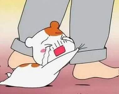 《讓人反感的相處行為》不分男女皆討厭的行為是?