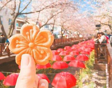 韓國鎮海限定《櫻花餅》櫻花季就是要吃櫻花呀♥