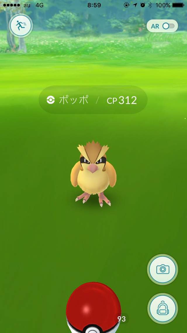 Pokemon Go《百變怪》登場 快努力抓你家附近的波波跟小拉達吧 - 圖片3 Pokemon Go《百變怪》登場 快努力抓你家附近的波波跟小拉達吧 - 圖片3