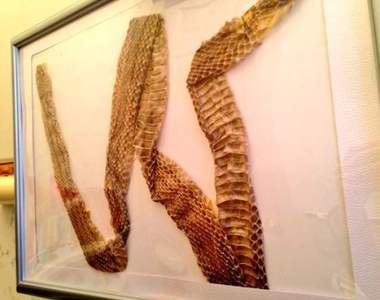 《廁所珍奇百景》難道只有我家廁所會出現這種情景嗎www(淚笑)