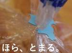 台灣造型師掀起的《麵包夾貓咪熱》這個東西終於有用了…… 台灣造型師掀起的《麵包夾貓咪熱》這個東西終於有用了……