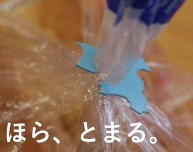 台灣造型師掀起的《麵包夾貓咪熱》這個東西終於有用了……