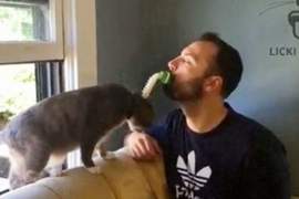 慾望激發《貓奴用舔舔貓刷》激發舔主子的深層慾望ΦωΦ