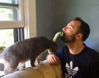 慾望激發《貓奴用舔舔貓刷》激發舔主子的深層慾望ΦωΦ