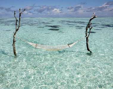 手作《模型用吊床》幾根筷子加上水果套袋DIY就可以輕鬆完成啦