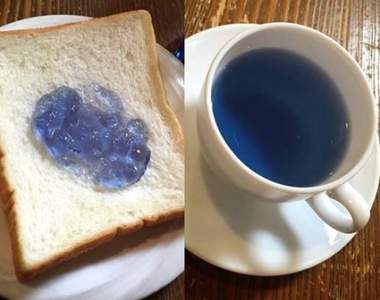 青森新土產《藍色蘋果醬》視覺味覺奇妙反差的醬和藍茶是絕配哦