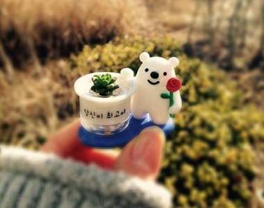 風靡OL圈的療癒小物《迷你多肉植物》姐都是靠這個忍住打老闆的衝動(欸?)