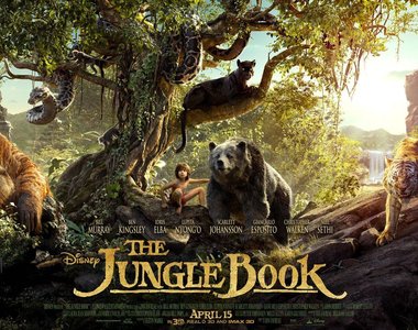 超越想像《與森林共舞》爛番茄超越90%好評的大人童話