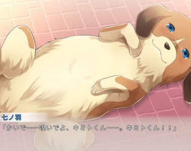 變成狗也可以《潛入女生淫夢的18禁遊戲》體驗狗與狗的另類性愛……