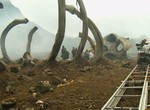 《金剛:骷髏島》首次公開幕後影片 Loki這次變成了特種部隊成員 《金剛:骷髏島》首次公開幕後影片 Loki這次變成了特種部隊成員