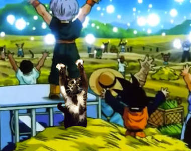 《舉手貓Keys》PS改圖大混戰　請大家把力量借給我吧！（高舉）