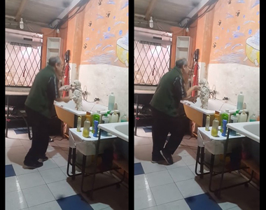 《享受你的工作》就算在垃圾車上也可以開心跳舞