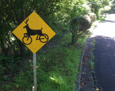 奇妙《注意鹿跳出》道路標誌　怎麼跟我知道的鹿長得不太一樣...？