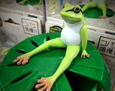 辦公室流行療癒小物《蛙田捕太郎》散發謎樣魅力的青蛙公仔……