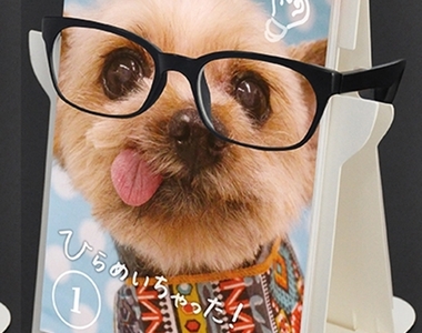 《貓狗眼鏡架桌曆》有毛小孩幫你戴著再也不怕找不到眼鏡惹❤