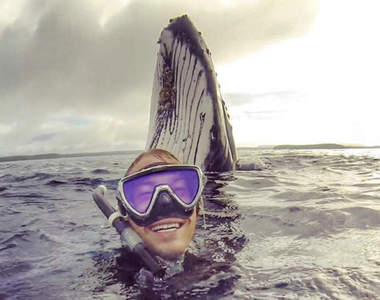 《被鯨魚亂入合照的男子》堪稱今年度最強自拍照