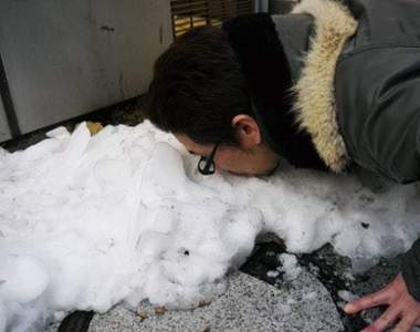 《南國居民遇到下雪的反應》台灣下雪那天你也是這樣嗎？www