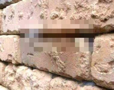 《牆壁上的錯覺》知道事實後想喊一聲：有沒有公德心啊？！（誤）