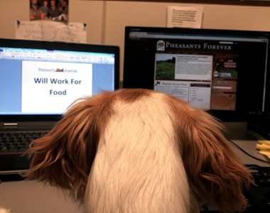 人資公開《履歷上最奇怪的內容》太搞怪公司也不敢收啦