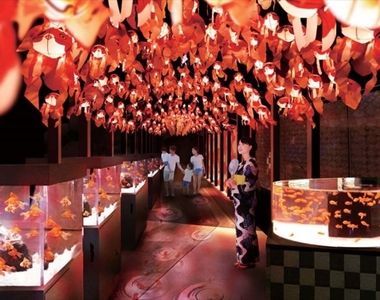 《東京晴空塔》墨田水族館「江戶的金魚仙境」讓你體驗被金魚圍繞的感覺