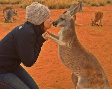 《討抱抱袋鼠》全澳洲最撒嬌就是牠♥