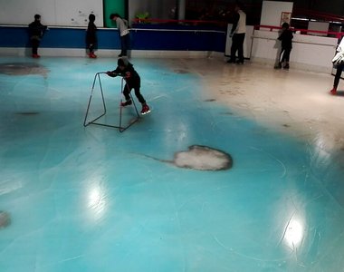 冰之水族館《結冰魚溜冰場》炎上　你會想在5000條死魚上面滑冰嗎...？