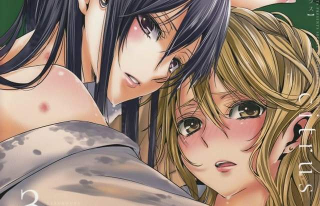 百合神作citrus 動畫化的可能性 重大發表11月揭曉
