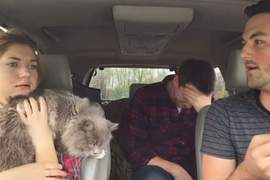 《騙妹妹殭屍末日要來了》結果在討論要帶貓還是狗逃亡？