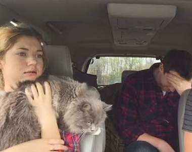 《騙妹妹殭屍末日要來了》結果在討論要帶貓還是狗逃亡？